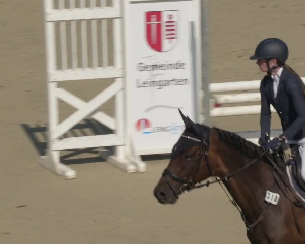 Reitturnier Leingarten 2021