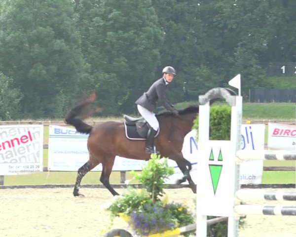 Reitturnier Hitzkirch 2019