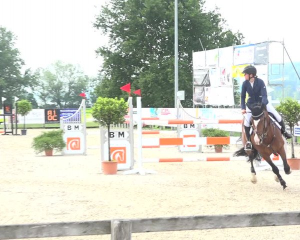 Reitturnier Hitzkirch 2019