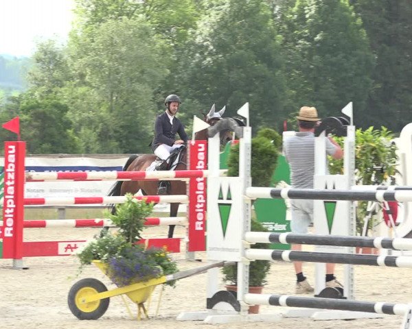 Reitturnier Hitzkirch 2019