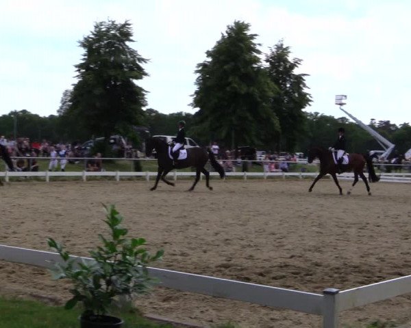 Reitturnier Coesfeld 2019