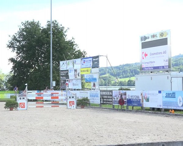 Reitturnier Hitzkirch 2019
