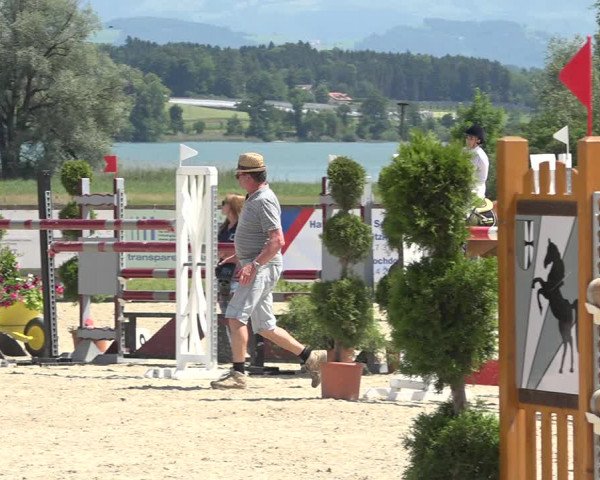 Reitturnier Hitzkirch 2019