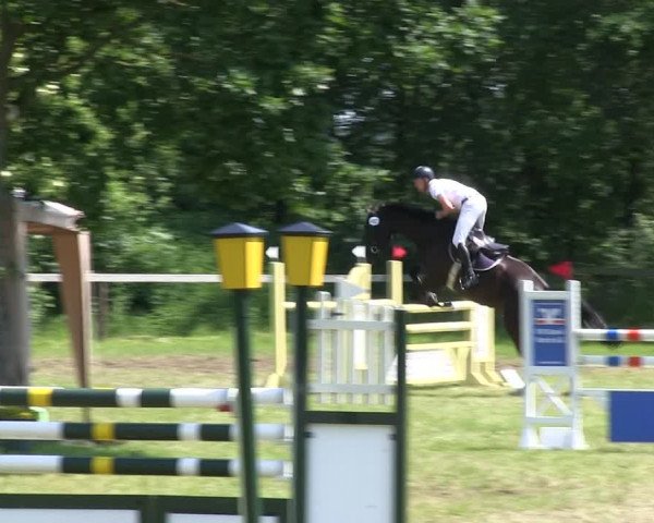 Reitturnier Stadum 2019