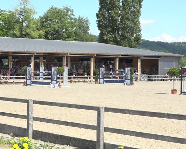 Reitturnier Hitzkirch 2019