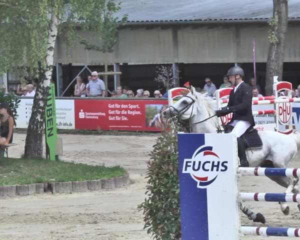 Reitturnier Viernheim 2019