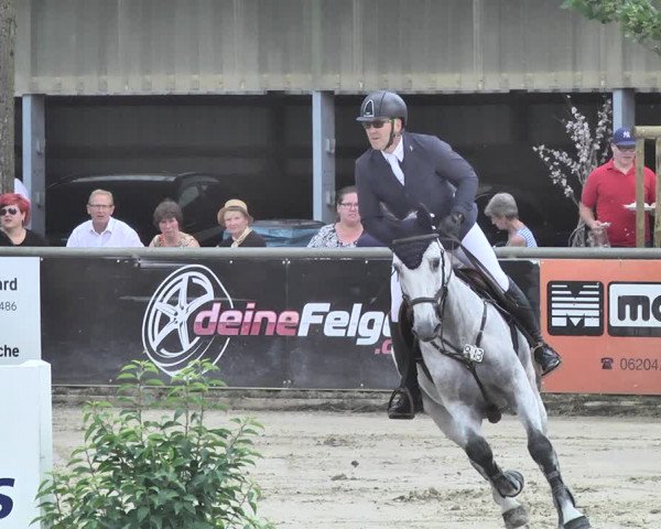 Reitturnier Viernheim 2019