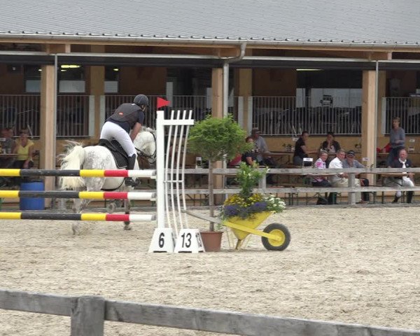 Reitturnier Hitzkirch 2019