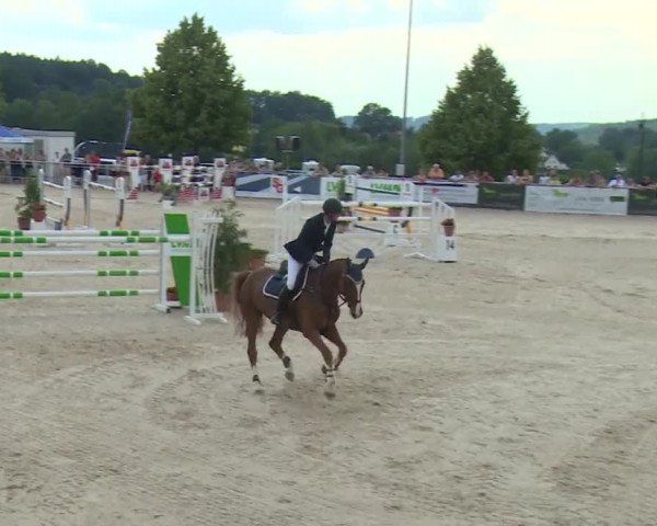 Reitturnier Küps/Ofr. 2019