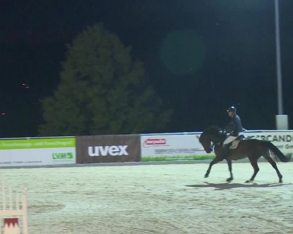 Reitturnier Küps/Ofr. 2019