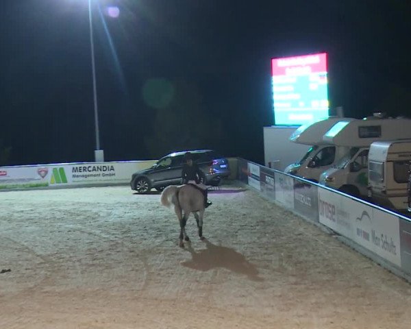Reitturnier Küps/Ofr. 2019