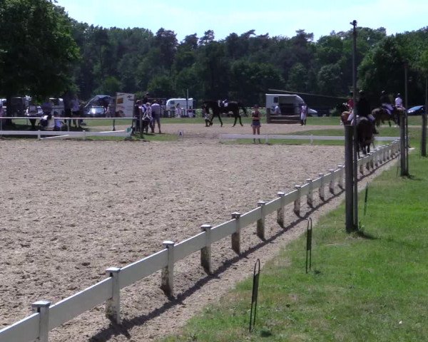 Reitturnier Coesfeld 2019