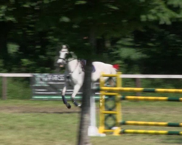 Reitturnier Stadum 2019