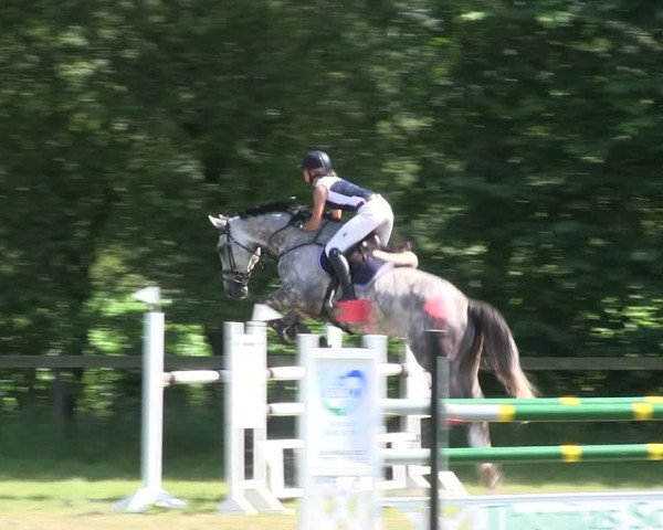 Reitturnier Stadum 2019