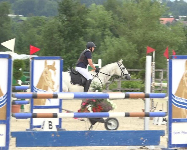 Reitturnier Hitzkirch 2019