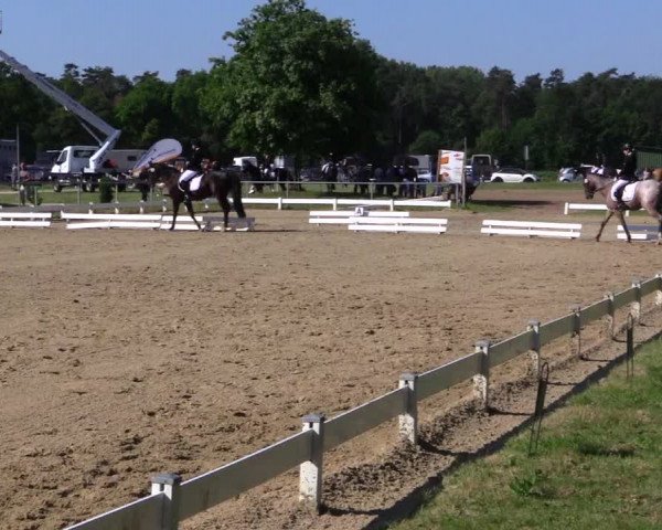 Reitturnier Coesfeld 2019