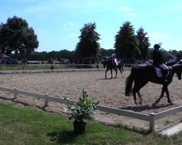Reitturnier Coesfeld 2019