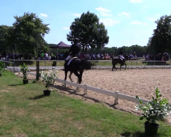 Reitturnier Coesfeld 2019