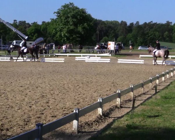 Reitturnier Coesfeld 2019