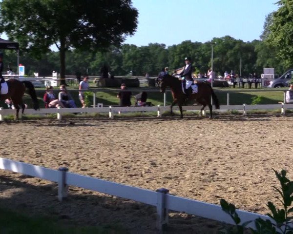 Reitturnier Coesfeld 2019