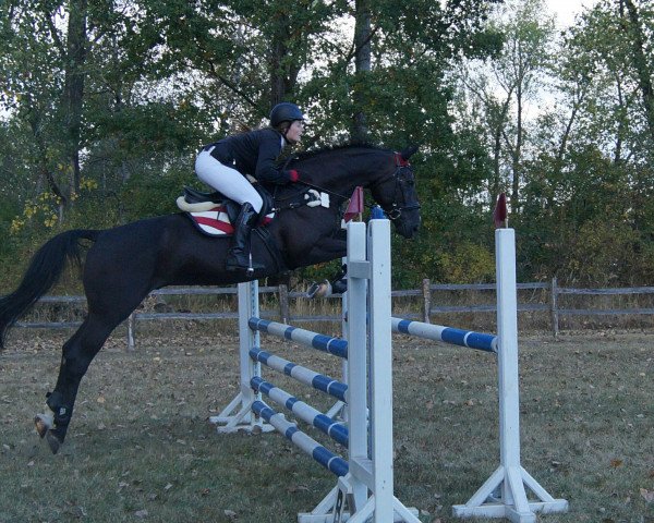 jumper Sandor 253 (Brandenburg, 2000, from Sadenio)