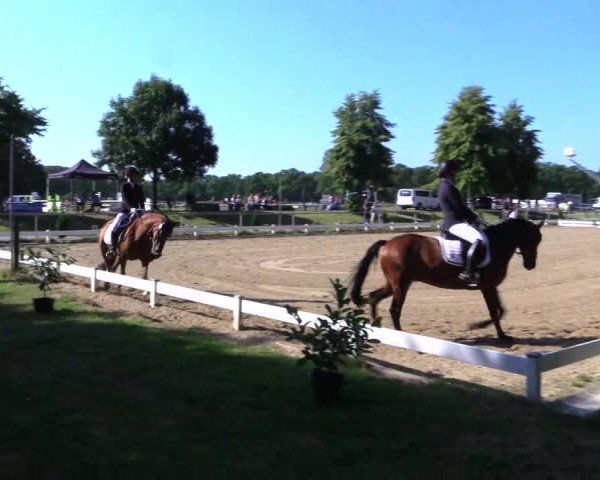 Reitturnier Coesfeld 2019