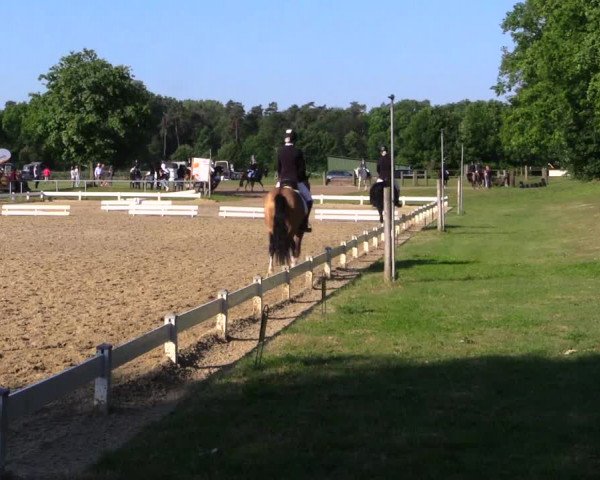 Reitturnier Coesfeld 2019