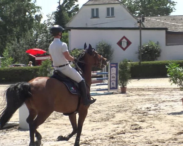 Reitturnier Leverkusen - Teitscheider Hof 2019