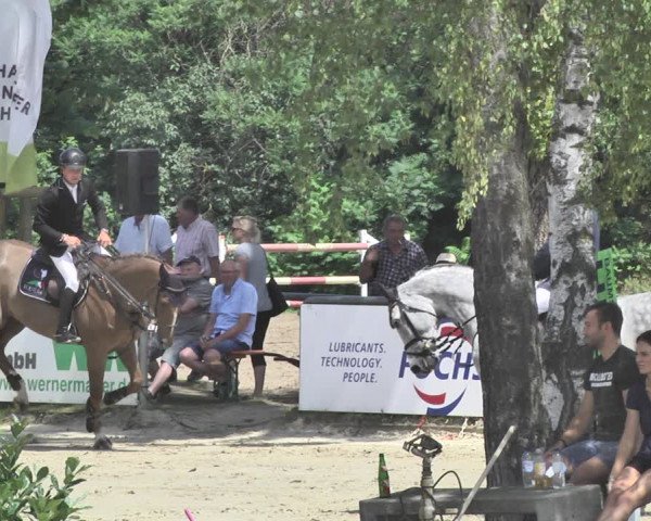 Reitturnier Viernheim 2019