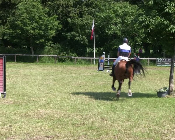 Reitturnier Stadum 2019