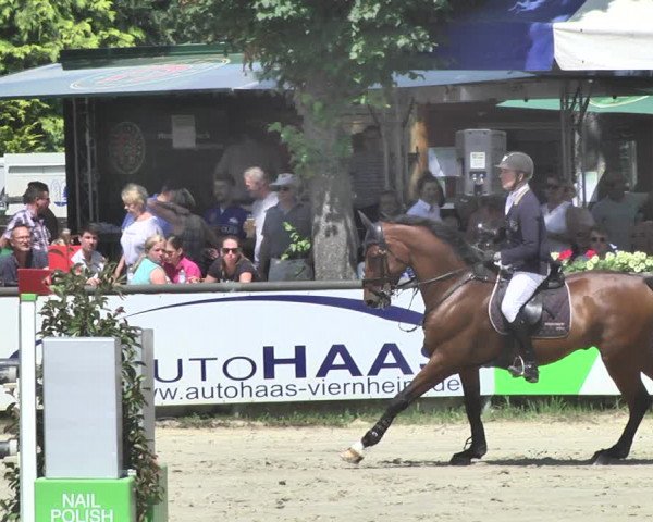 Reitturnier Viernheim 2019