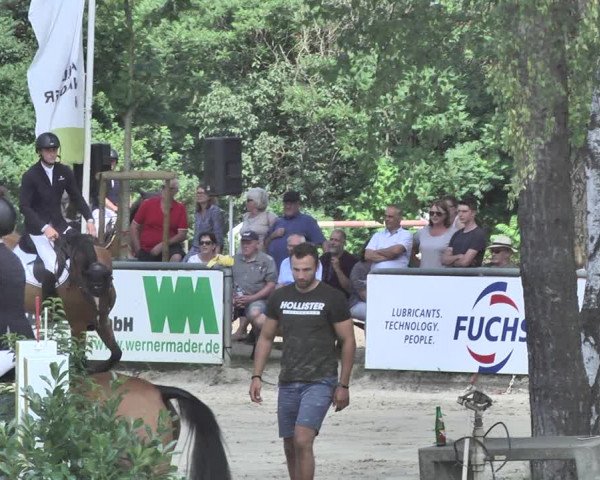 Reitturnier Viernheim 2019