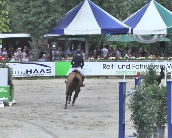 Reitturnier Viernheim 2019
