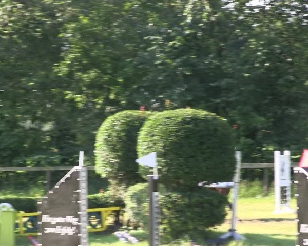 Reitturnier Stadum 2019