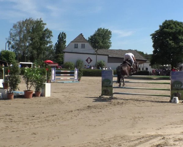 Reitturnier Leverkusen - Teitscheider Hof 2019