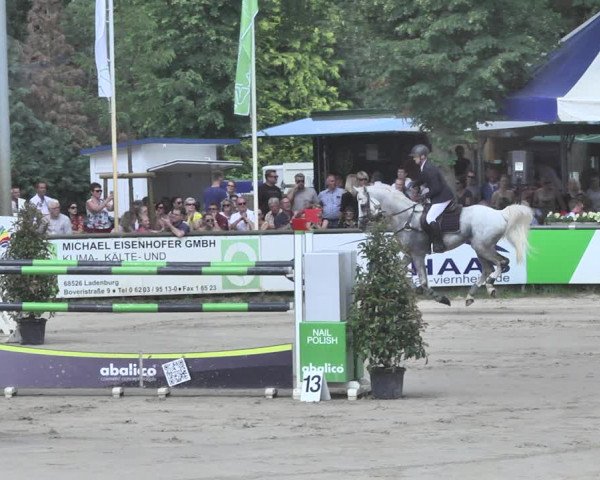 Reitturnier Viernheim 2019