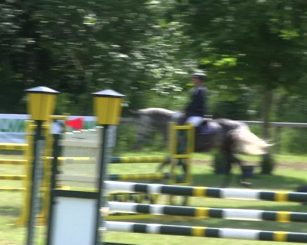 Reitturnier Stadum 2019