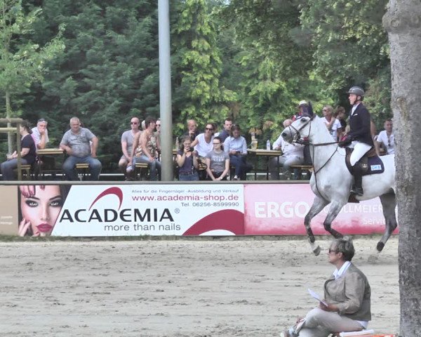 Reitturnier Viernheim 2019