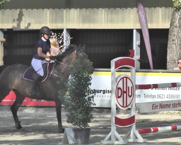 Reitturnier Viernheim 2019