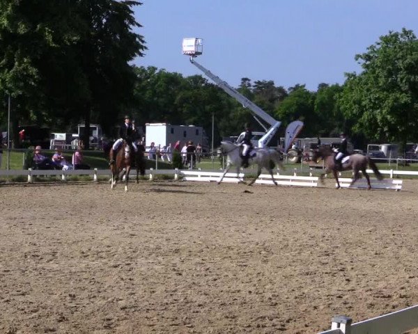 Reitturnier Coesfeld 2019