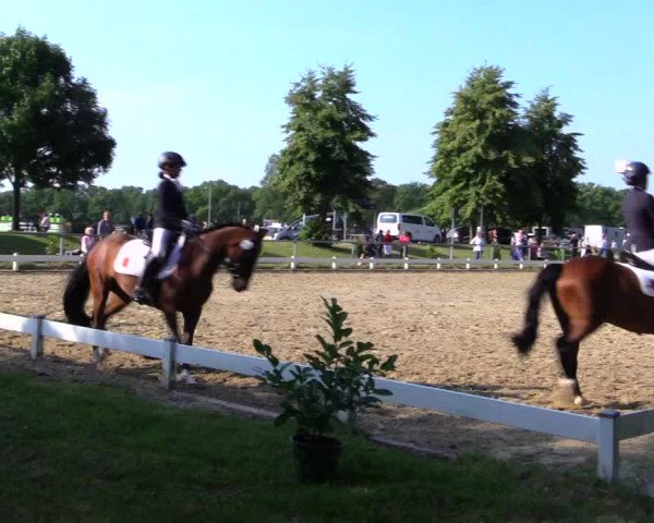 Reitturnier Coesfeld 2019