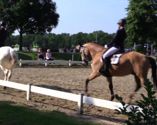 Reitturnier Coesfeld 2019