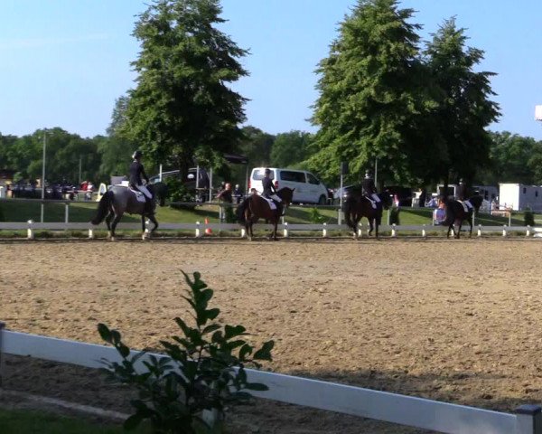 Reitturnier Coesfeld 2019