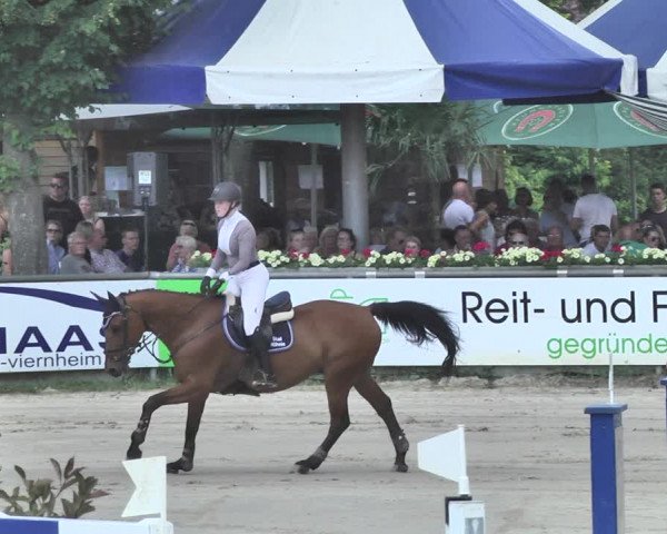 Reitturnier Viernheim 2019