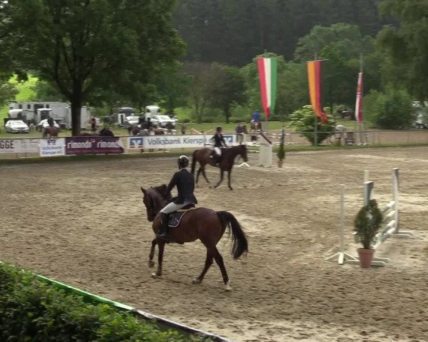 Kiersper Reitertage 2019