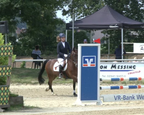 Reitturnier Coesfeld 2019