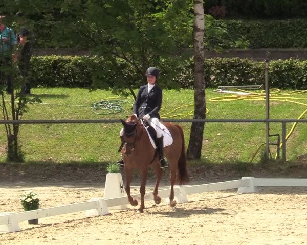 Kiersper Reitertage 2019