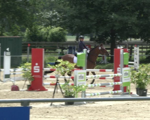 Reitturnier Coesfeld 2019