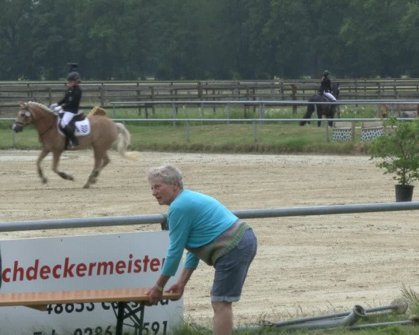 Reitturnier Coesfeld 2019
