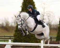 stallion Cornet De Lux (Holsteiner, 2009, from Cornet Obolensky)